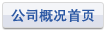 公司概况首页